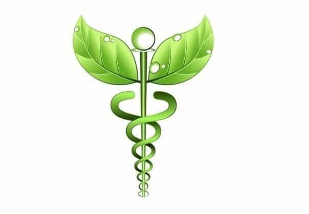 Holistic Dentistry